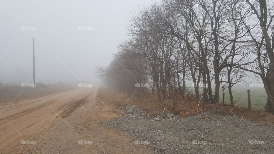 foggy dirt road