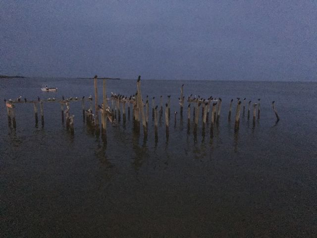 Last light 