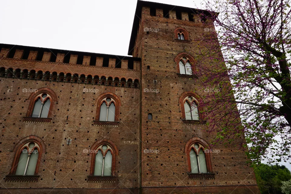 pavia