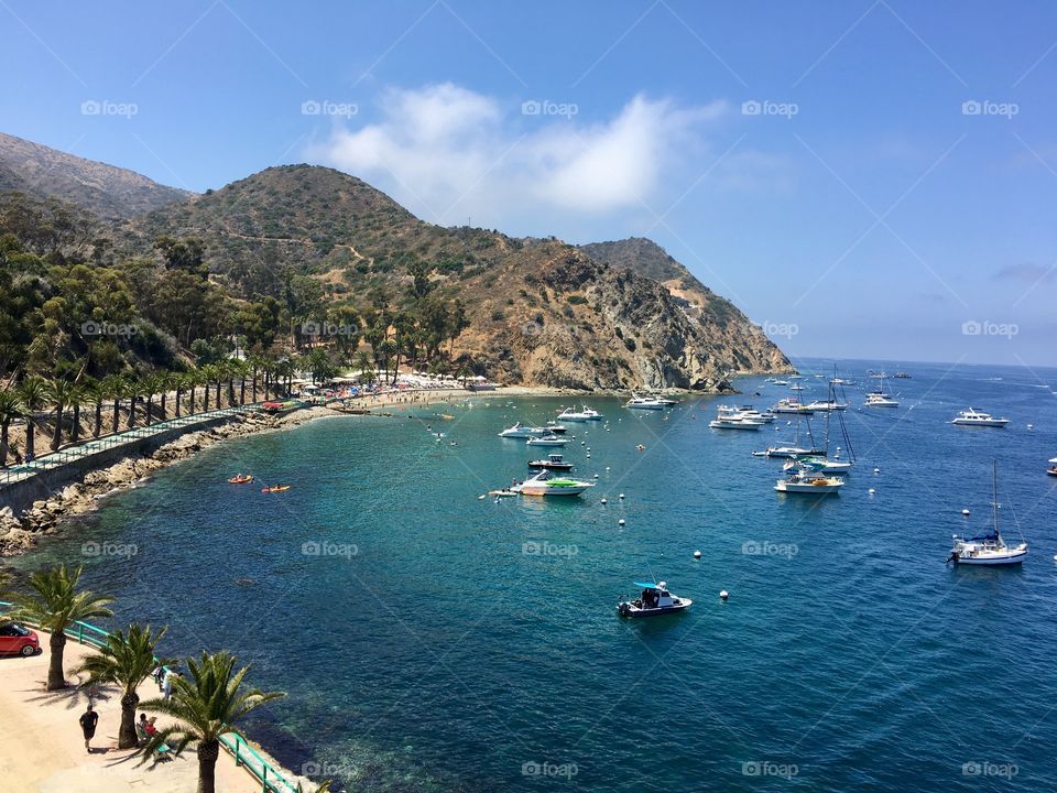 Catalina 
