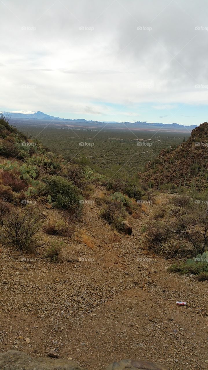 Tucson landscape