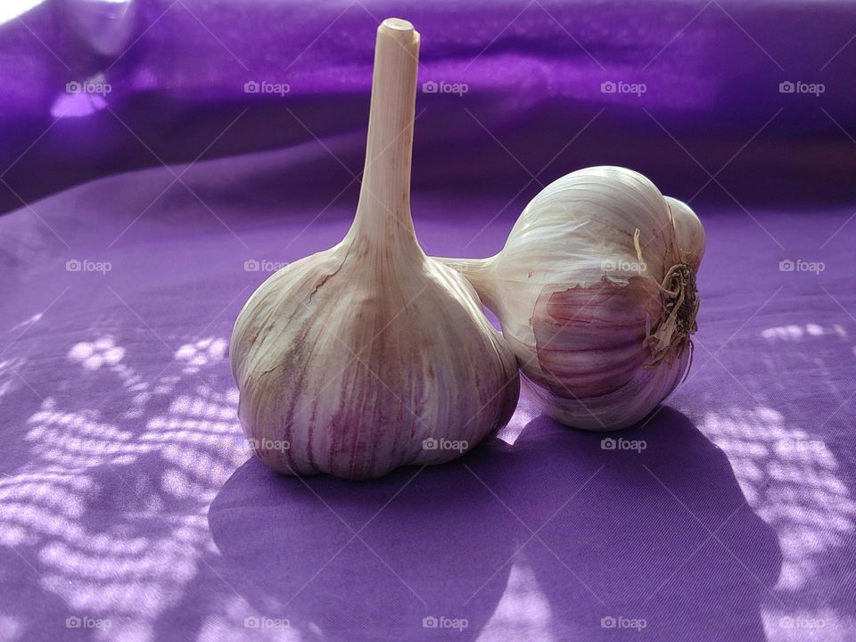 Capture the Power of Complementary Colors.