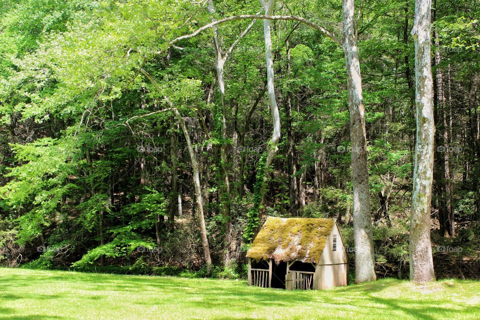 Small farm out building