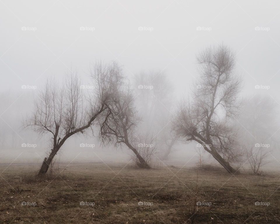 A misty moment one winter morning in Kharkiv.
