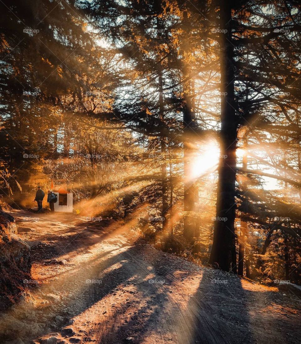 Keep your face to the sun and you will never see the shadows.