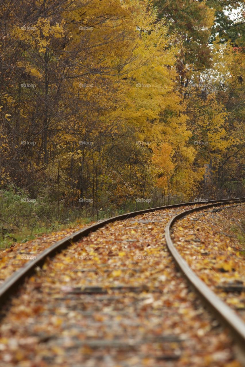 View of railroad track in autumn