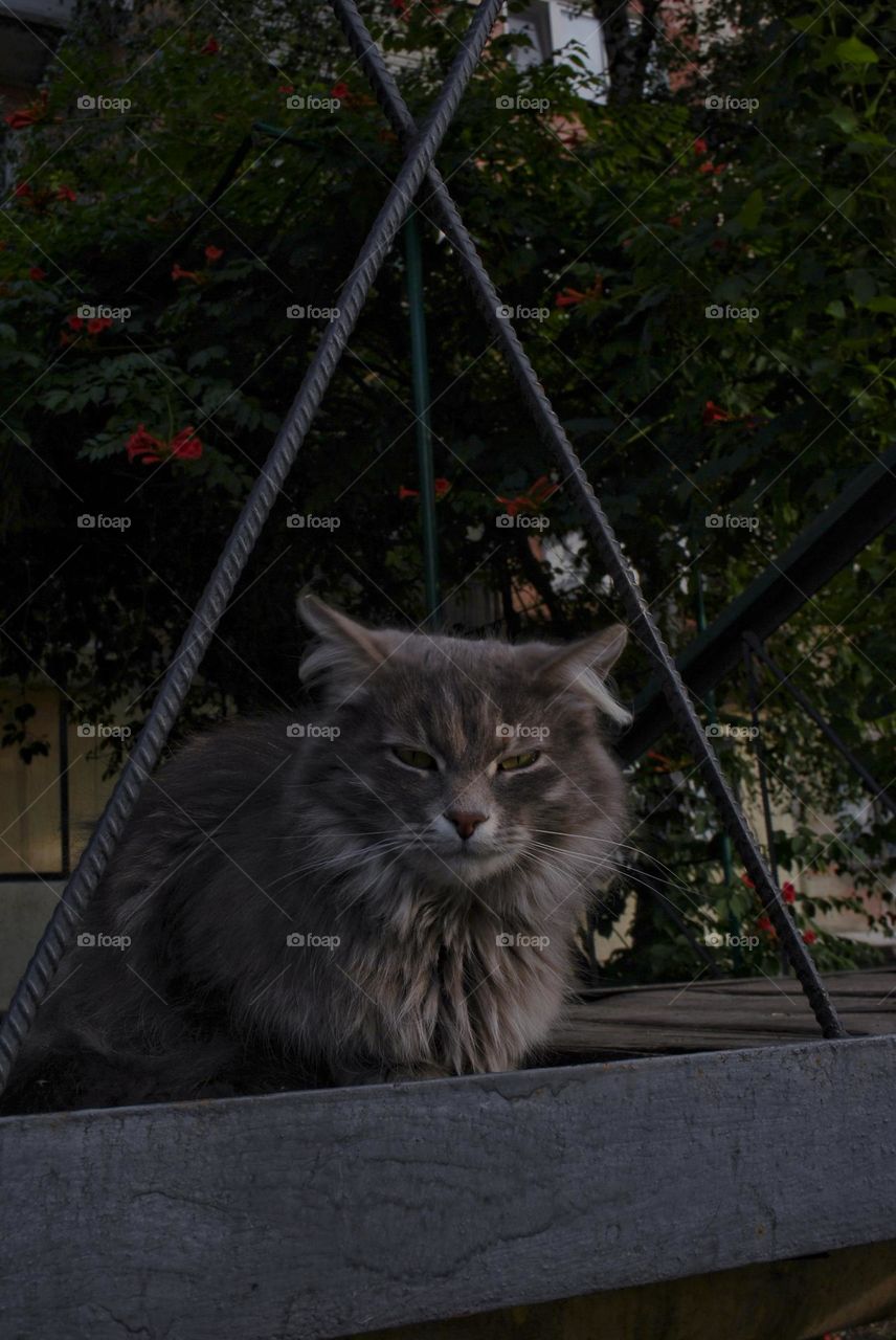 Look that pierces right through