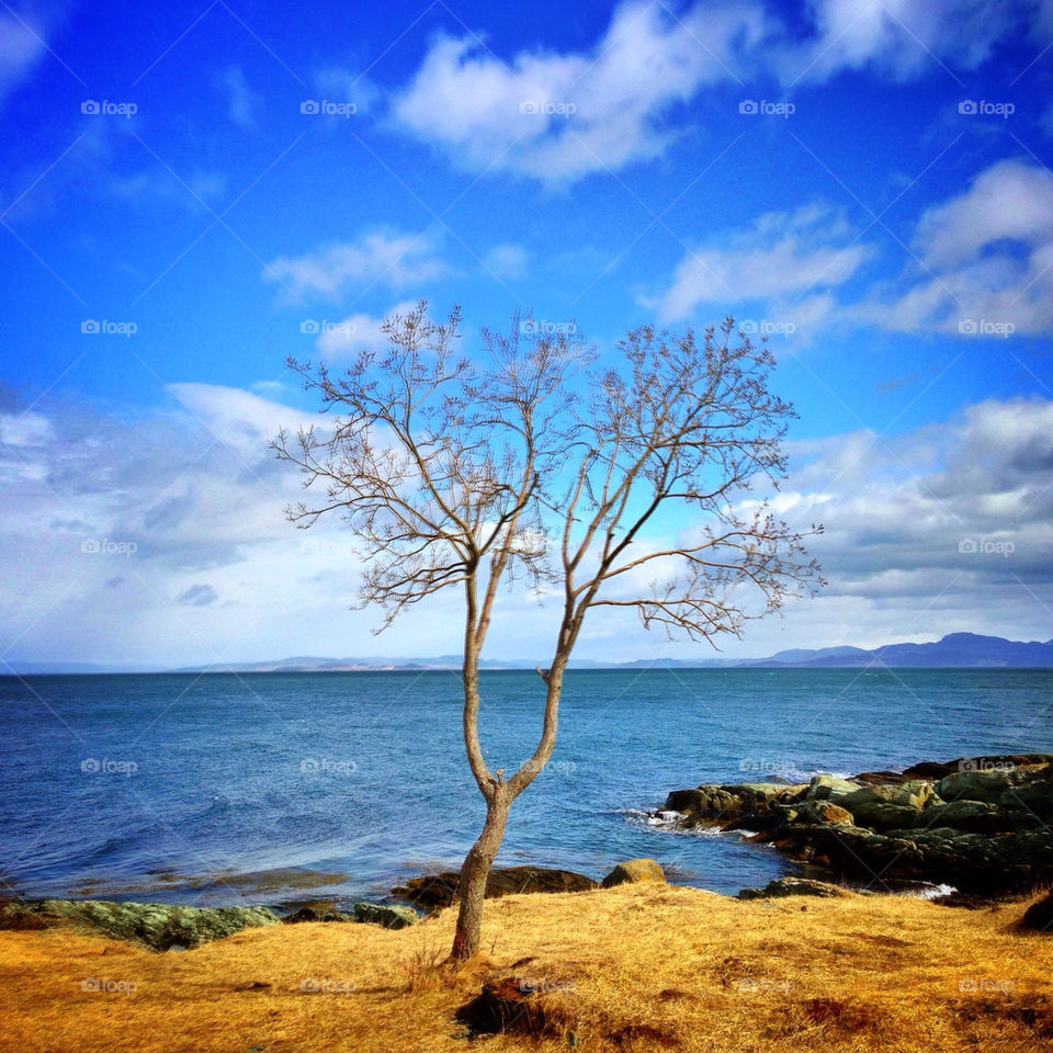 Early spring at Ladestien 💙