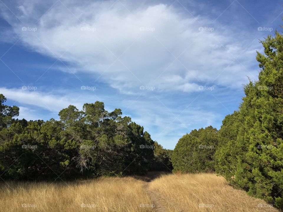 Hike in Austin, TX