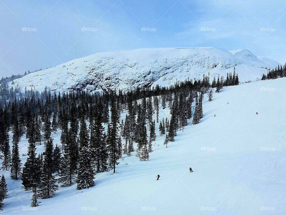 Skiers skinning over the slope of snowy mountains