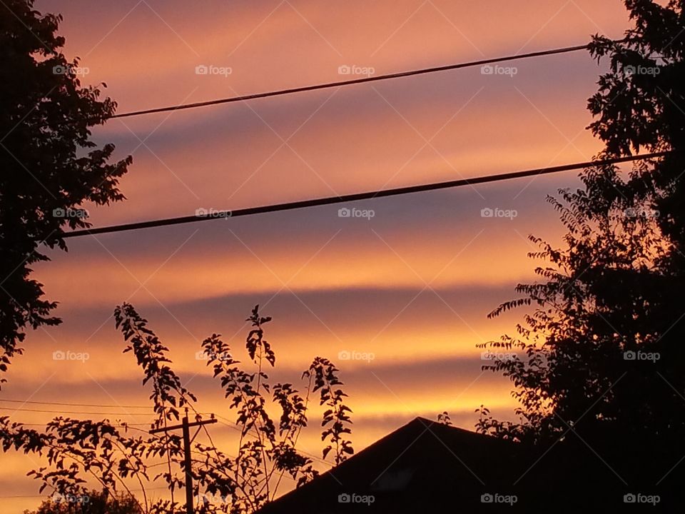 Lines in the Sky. Pretty evening