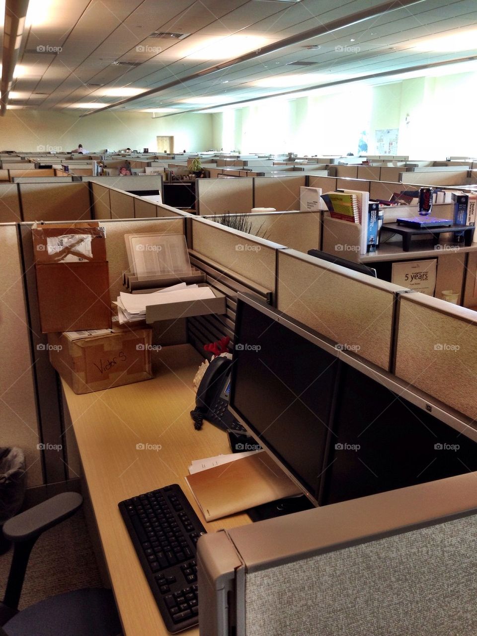 Cubical office