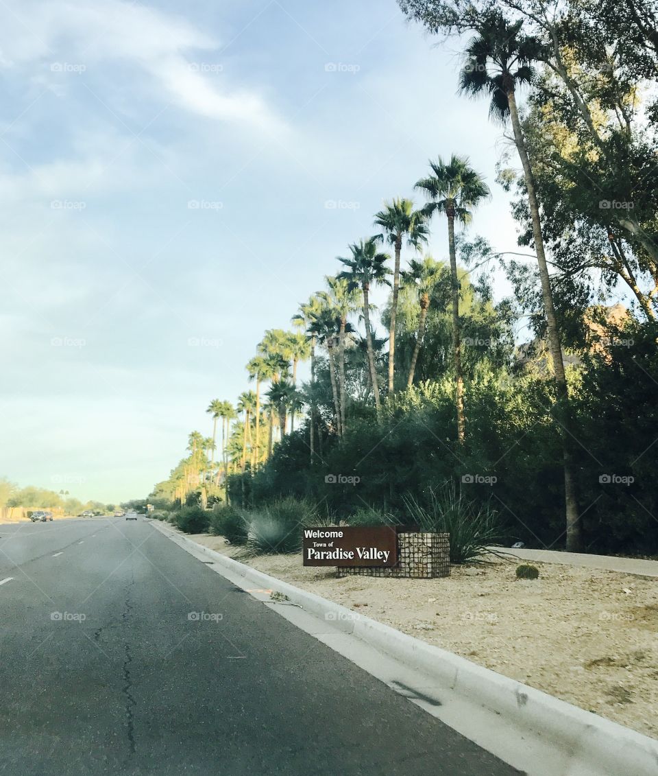 Paradise Valley