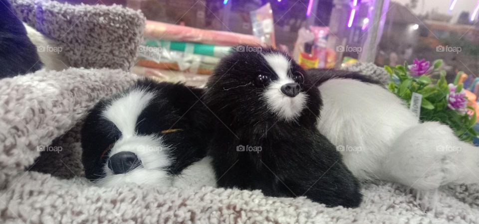 not real but fallen for this tiny ones 😉❤️