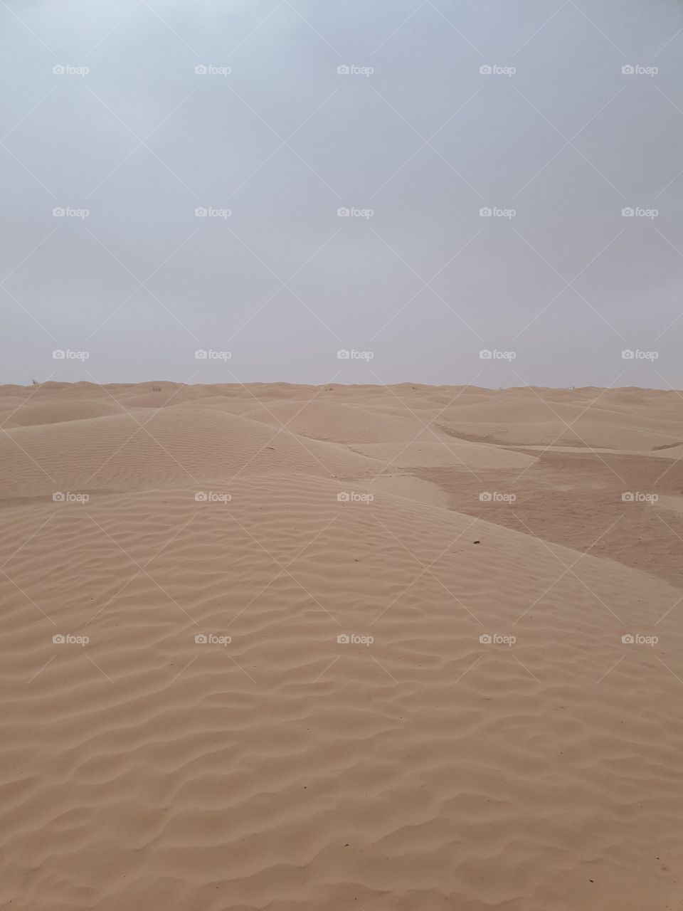 Dunes in Tunisia