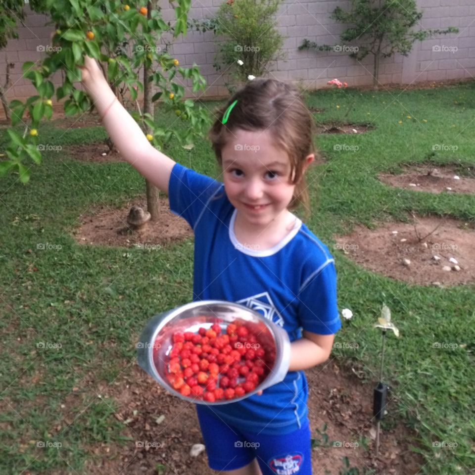 Acerolas colhidas no pé! Junto com Pitangas e outras frutas deliciosas. Sem agrotóxico algum.