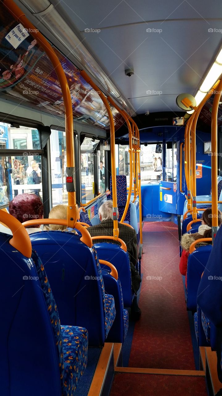 Train, Transportation System, Travel, Bus, Locomotive