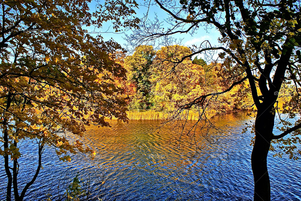 sweden stockholm fall autumn by lgt41