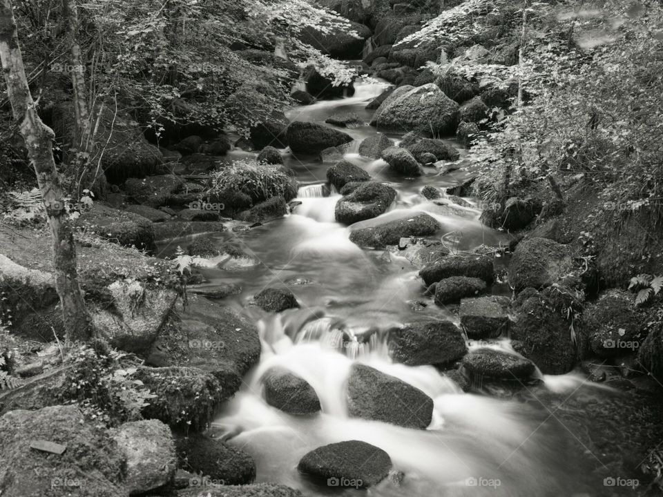 Black and white stream in motion