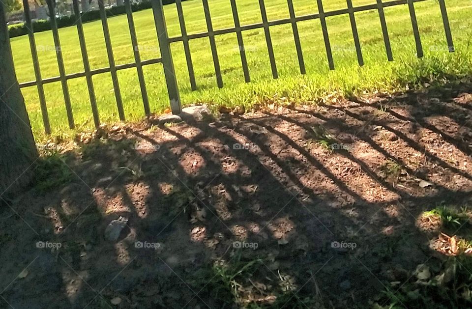 Shadow on Ground from Sun and Gate