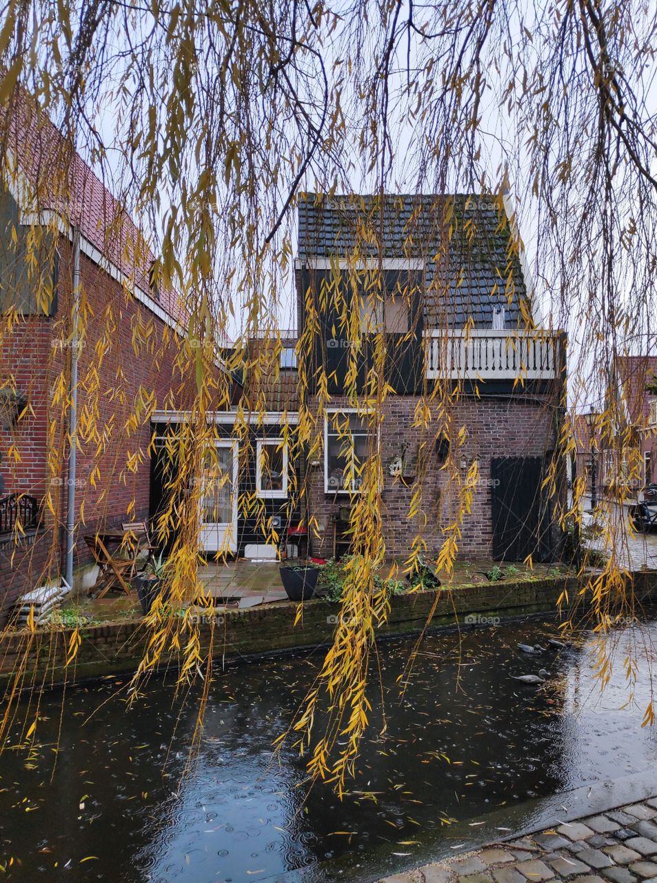 a little autumn winter