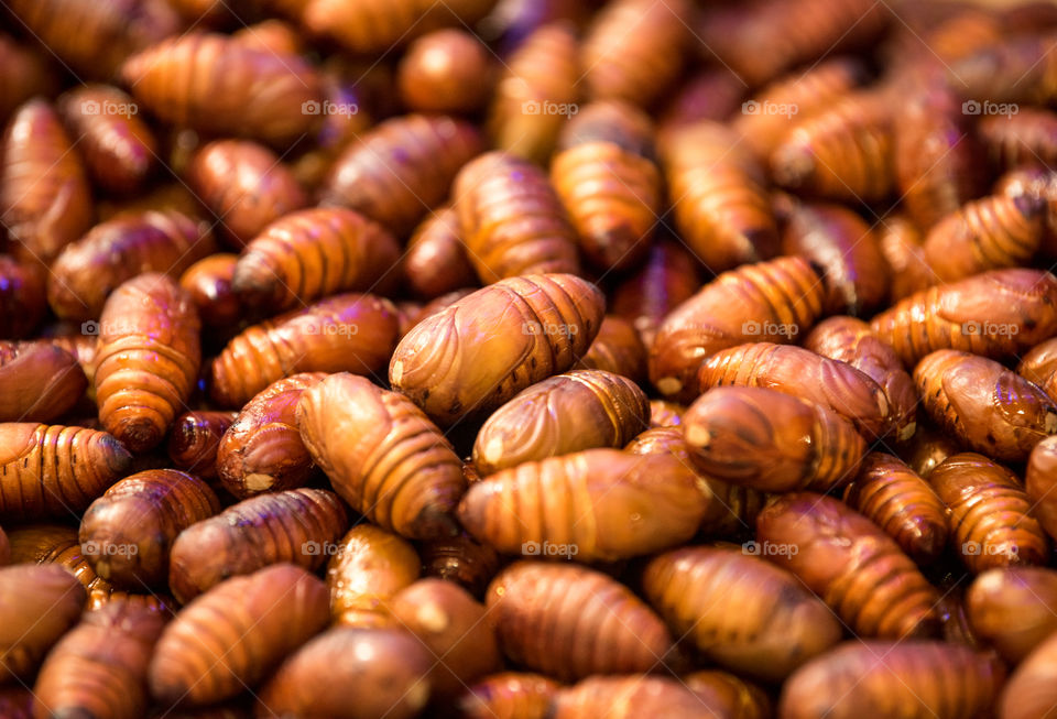 Asia, China, market food, fresh beetle larvae for eat . yummy