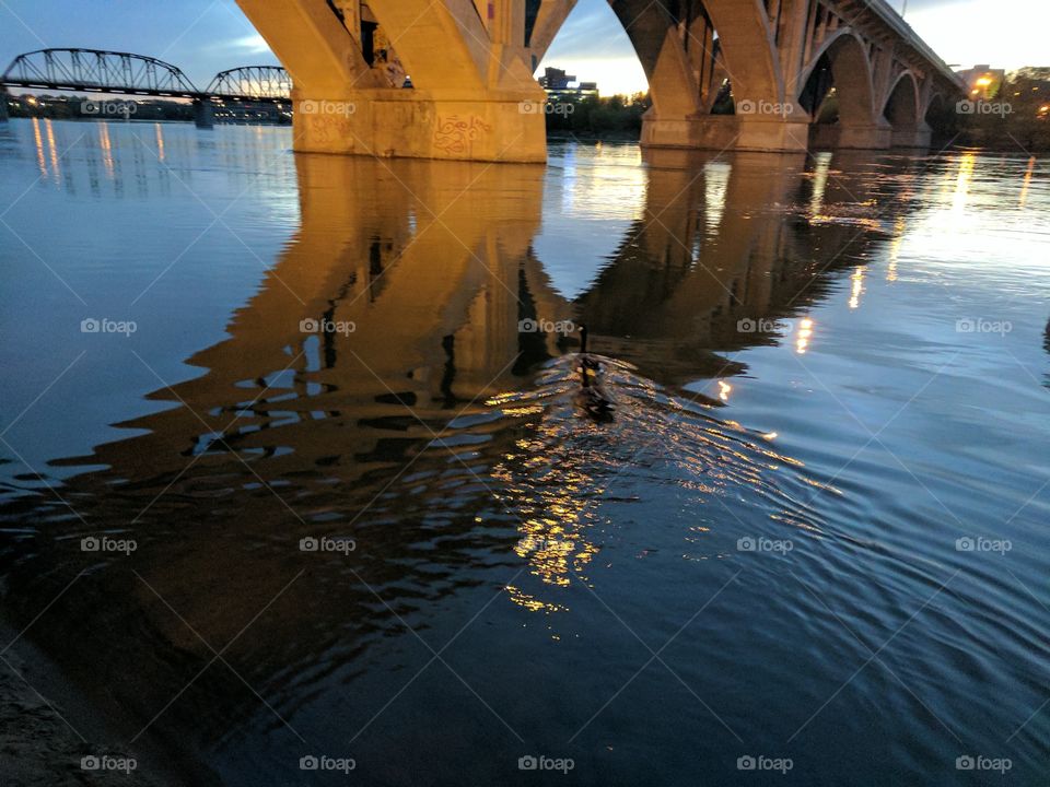 River Nightlife