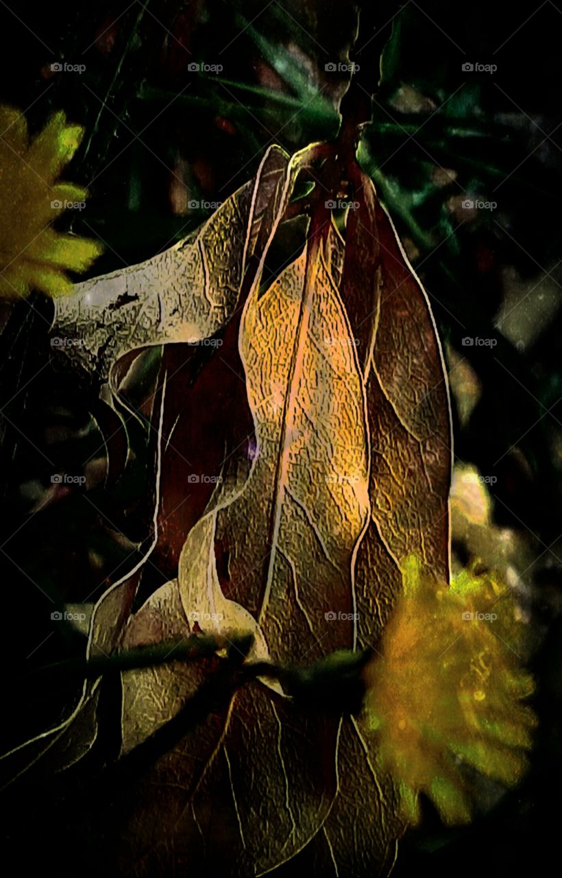 under the moon and starlight