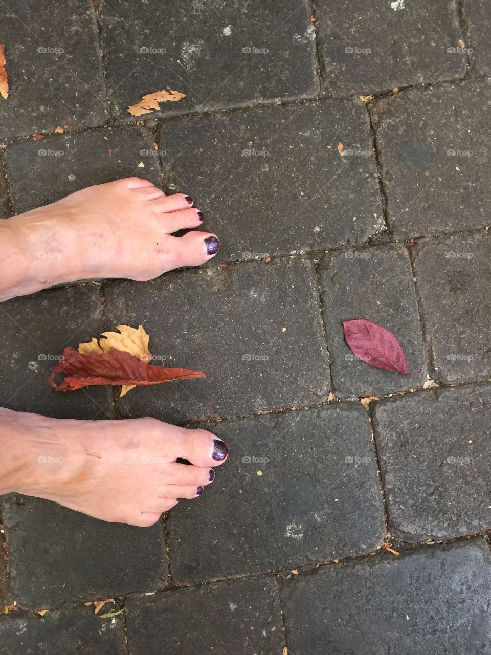 Feet, leafs and asphalt