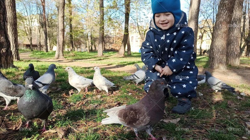 kid and birds in the park
