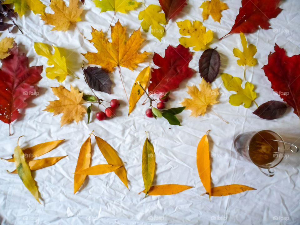 Composition of autumn leaves, autumn