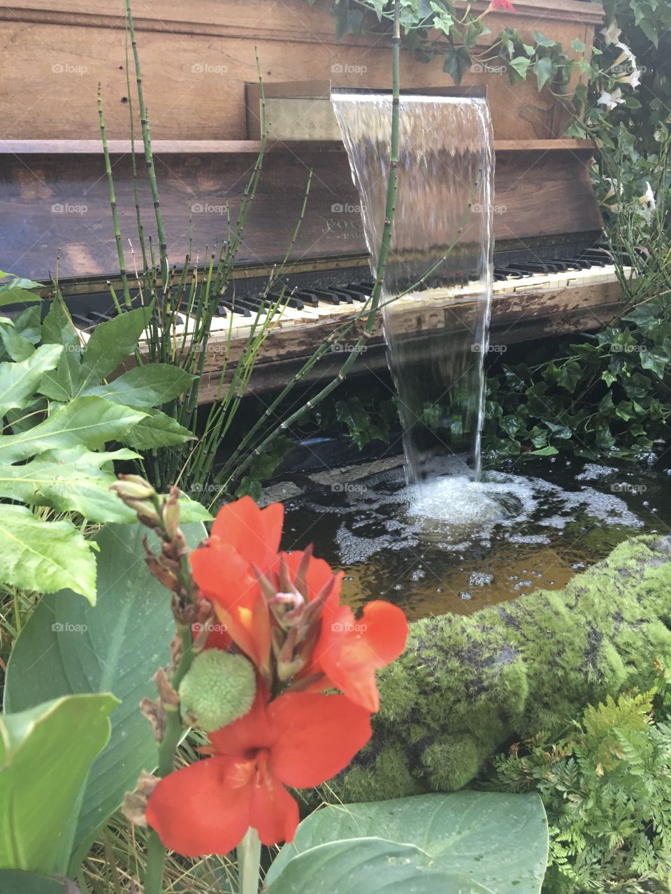 Vegetal decorative composition with old piano and water fountain 