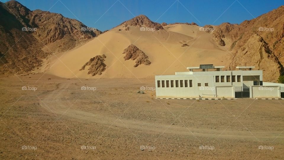 Egypt desert