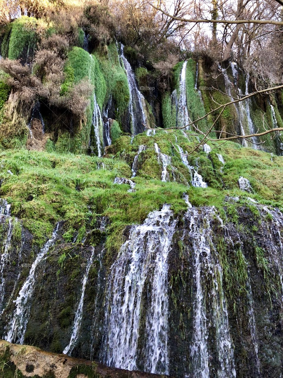 A beautiful, lush green hillside waterfalls. Water bursting from every opening makes this almost a Dreamscape. 