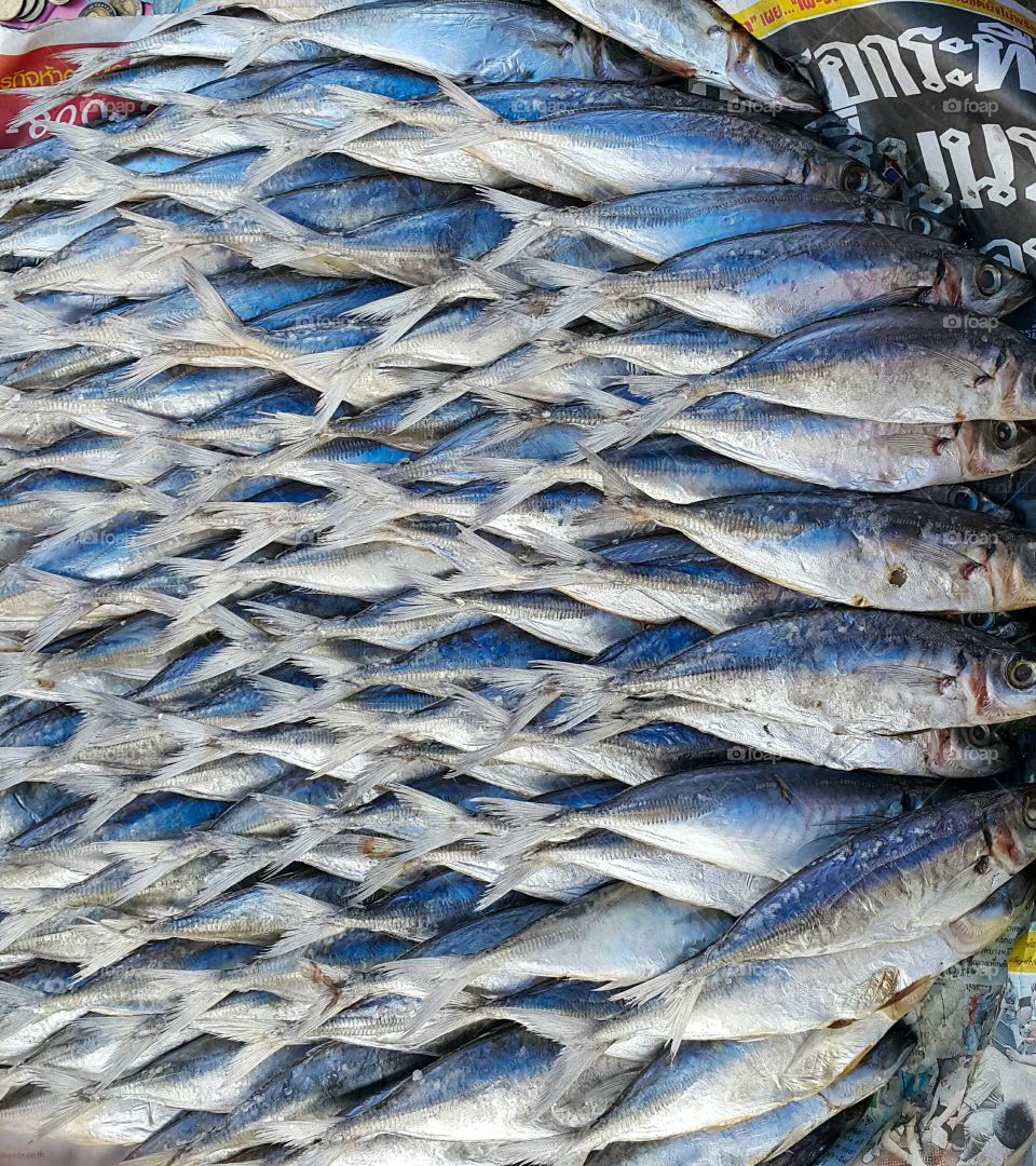 fish for cooking in market