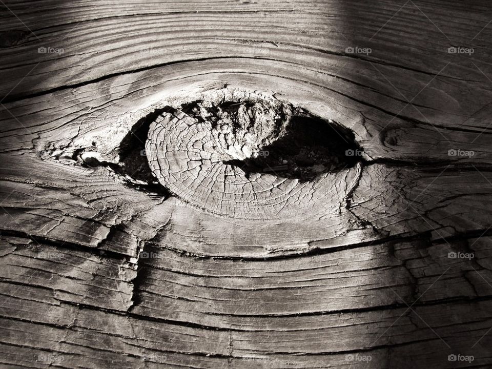 There's beauty everywhere