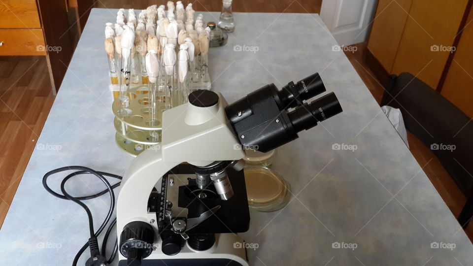 microbiological  laboratory