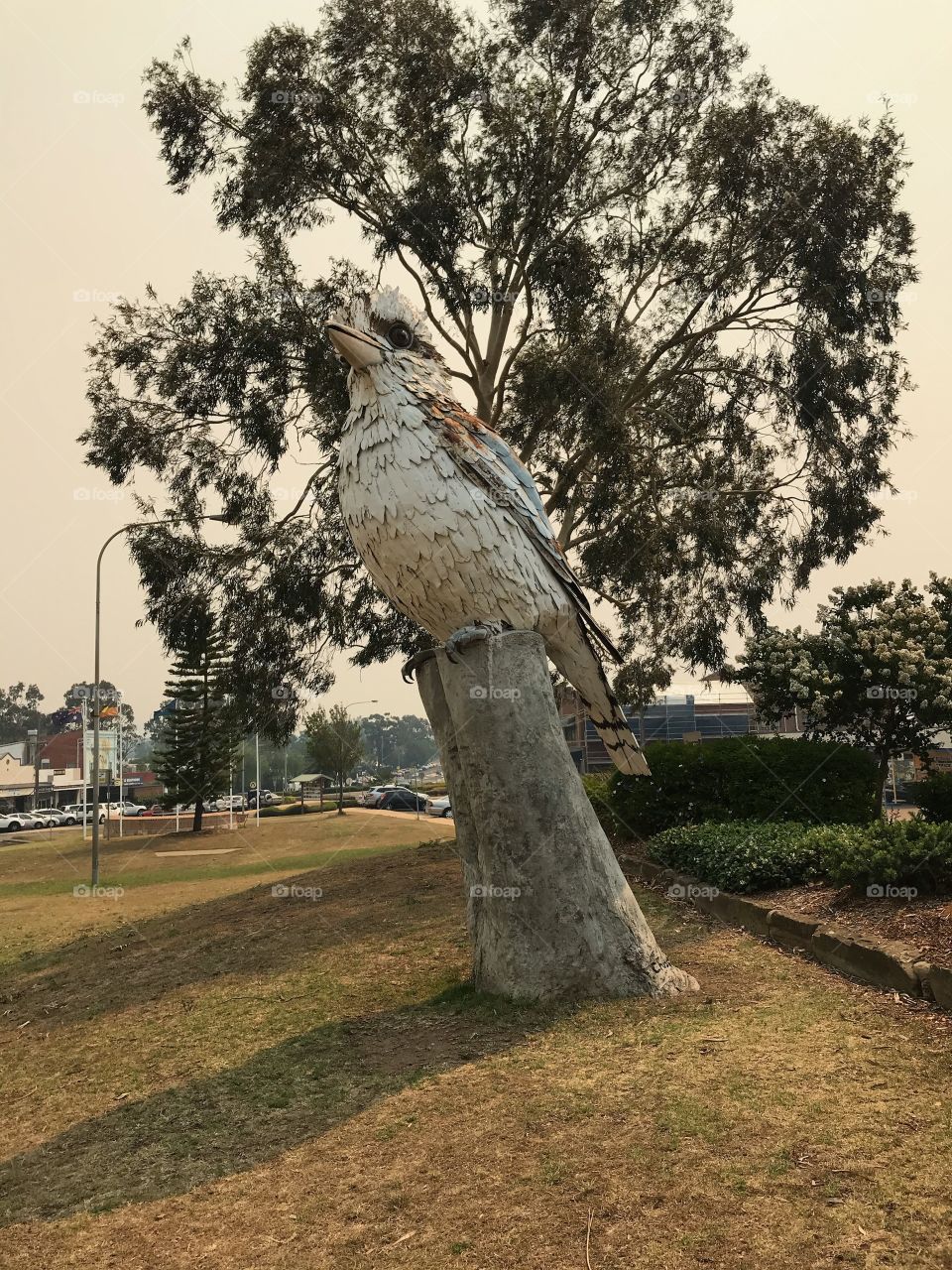 The Kookaburra in New South Wales Woodberry (Landmark)