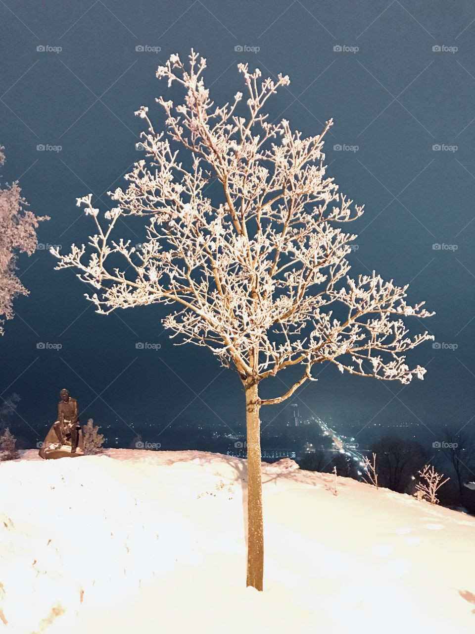 Snow tree