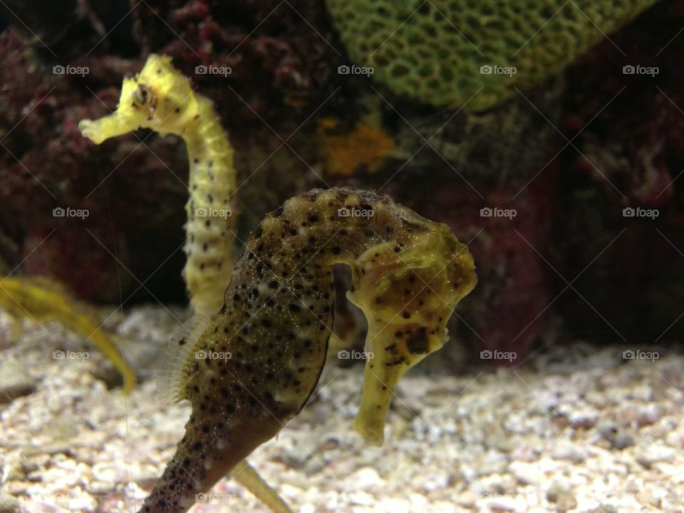 people nature travel water by itsAus