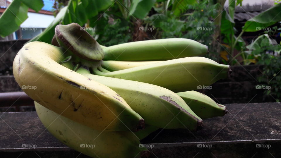 Food, No Person, Fruit, Banana, Grow