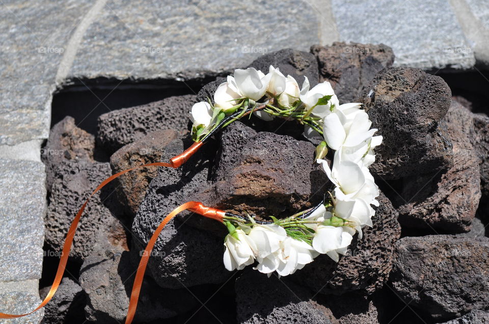 Flower crown on a lava rocks