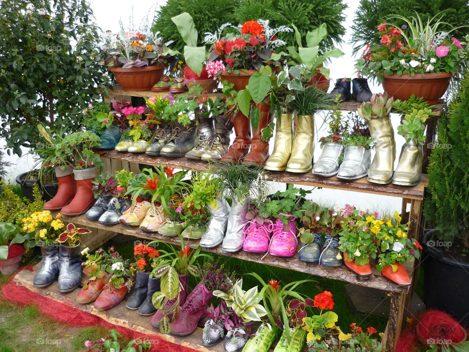 Flowers potted in shoes