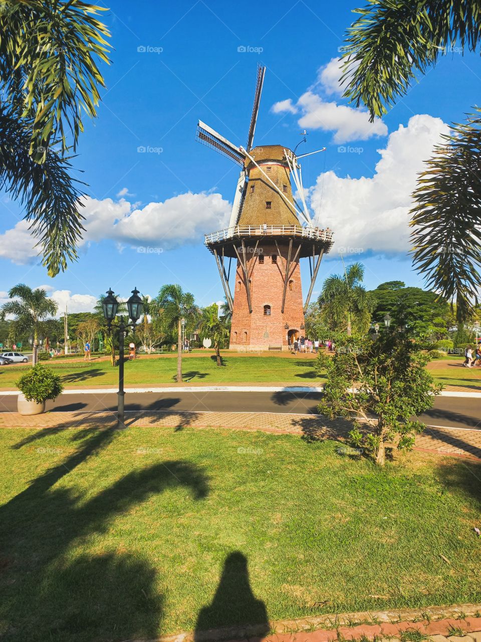 Moinho de Holambra💚