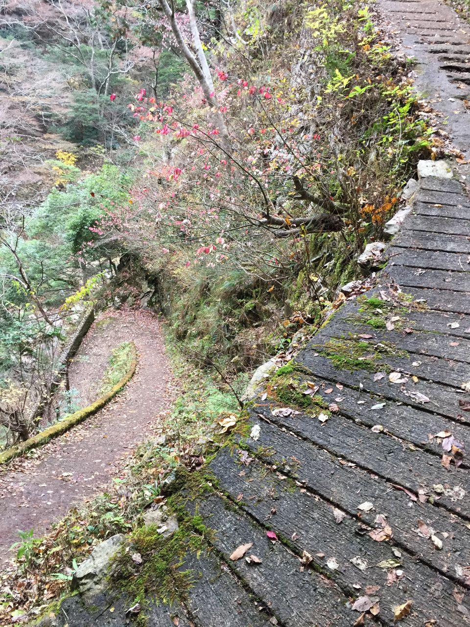 Hiking through the mountains in Hiroshima