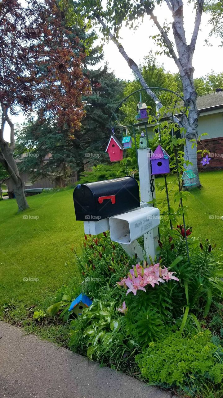 summertime lilies and birdhouse near mailbox for Post lady