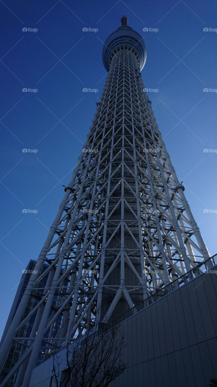 A lookup shot of the Tokyo skytree tower on daylight . The tall tower can be seen completely.