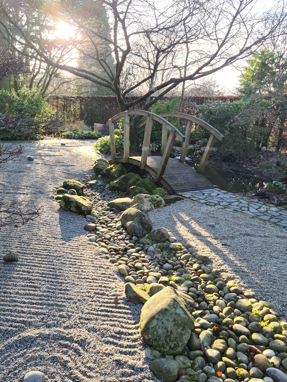 Chinese style garden. Lovely, sunny autumn evening.