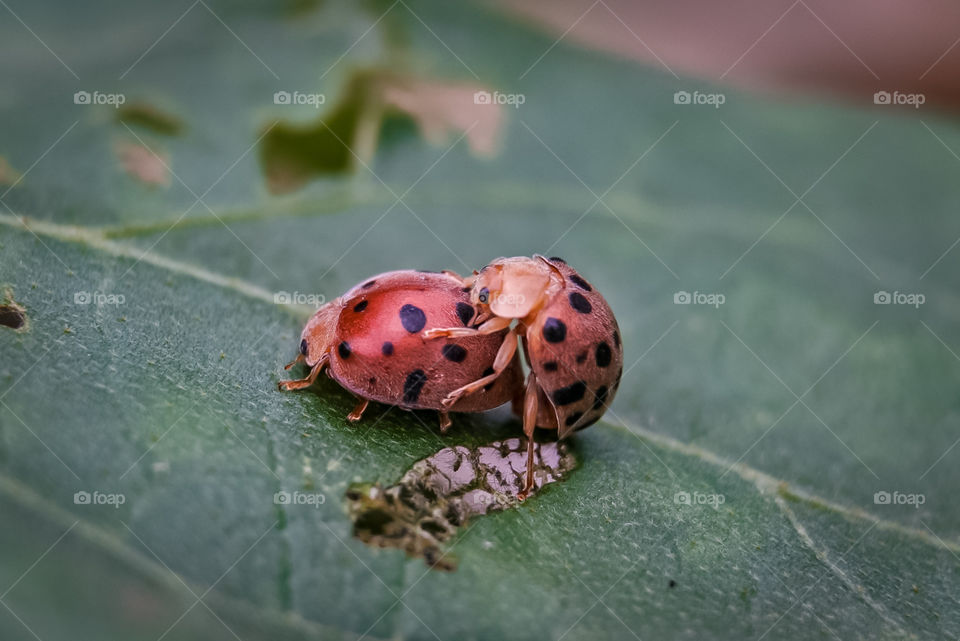 Because life must go on.