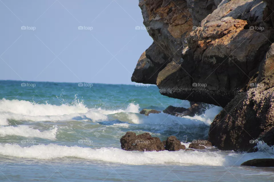 Sea